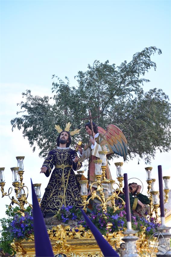 DSC_0803_5.JPG