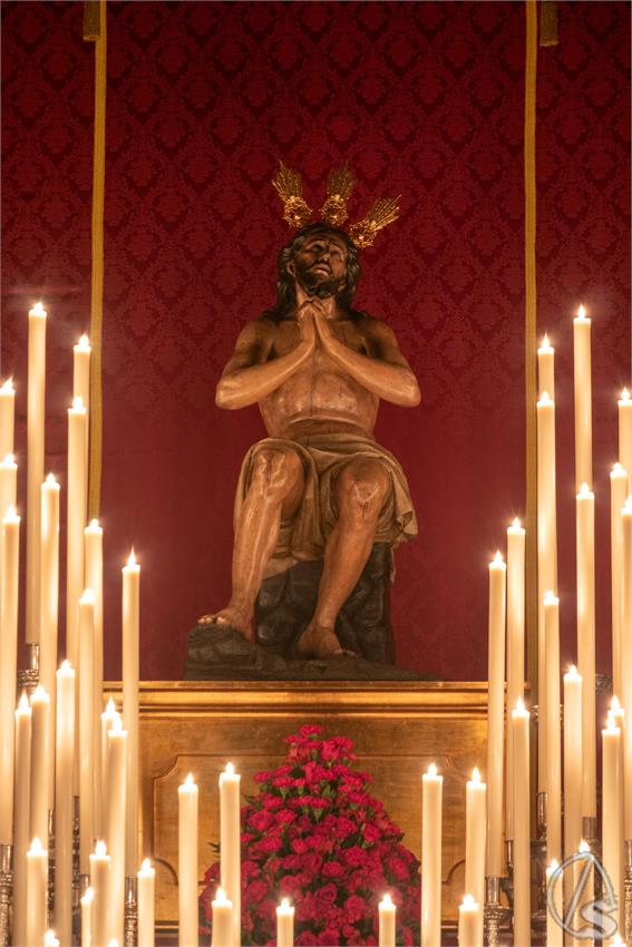 David_Camacho_QU_Estrella_2026_IMG_2597