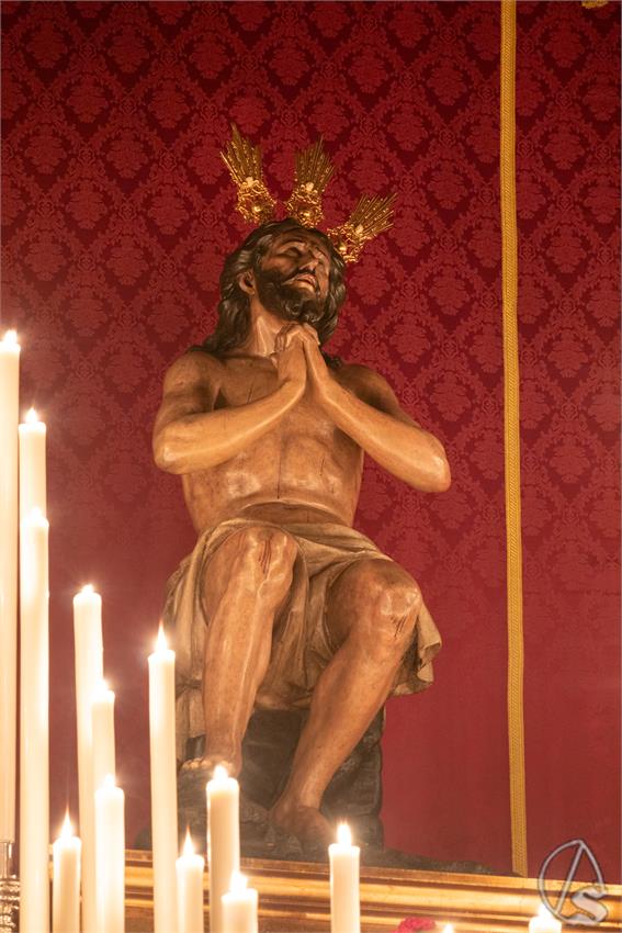 David_Camacho_QU_Estrella_2026_IMG_2607