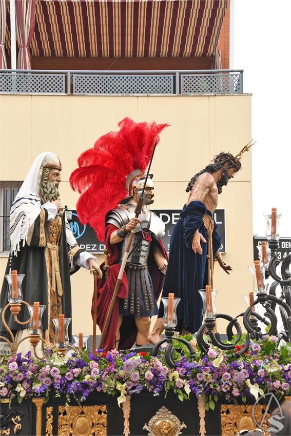 Despojado_Campos_de_Soria._Luis_M._Fernandez_060425__14_.JPG