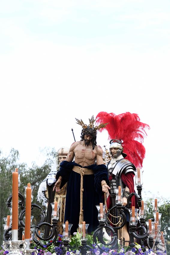 Despojado_Campos_de_Soria._Luis_M._Fernandez_060425__4_.JPG