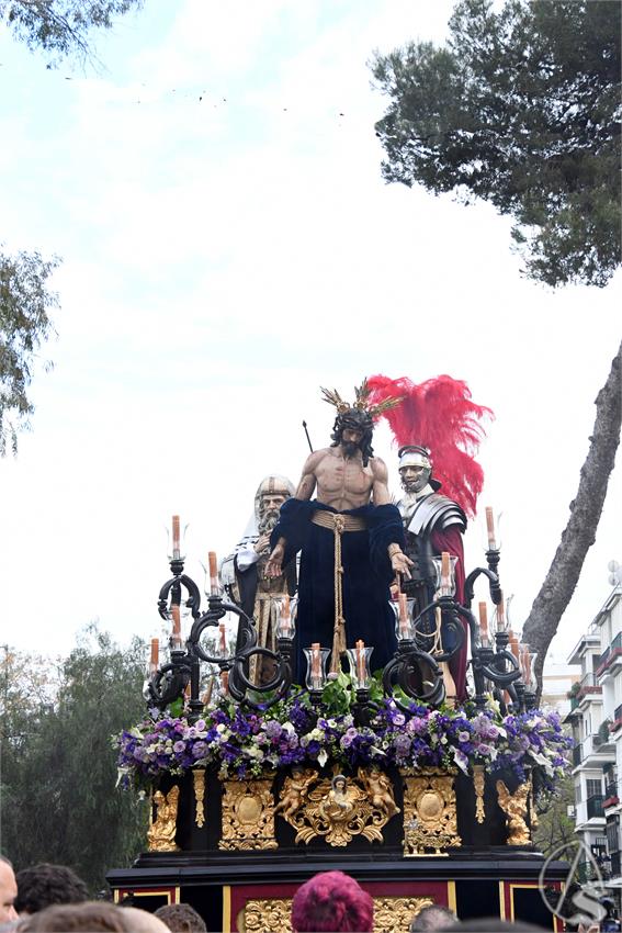 Despojado_Campos_de_Soria._Luis_M._Fernandez_060425__5_.JPG