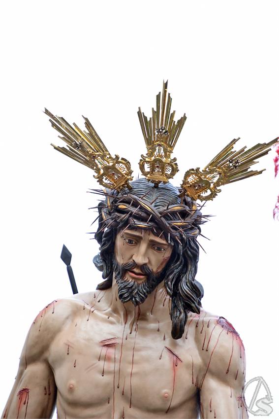 Despojado_Campos_de_Soria._Luis_M._Fernandez_060425__8_.JPG