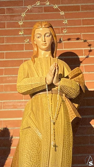 inmaculada san joaquin