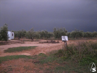 Hdad del Roco de Sevilla. 12 Octubre 2008. Los Locos