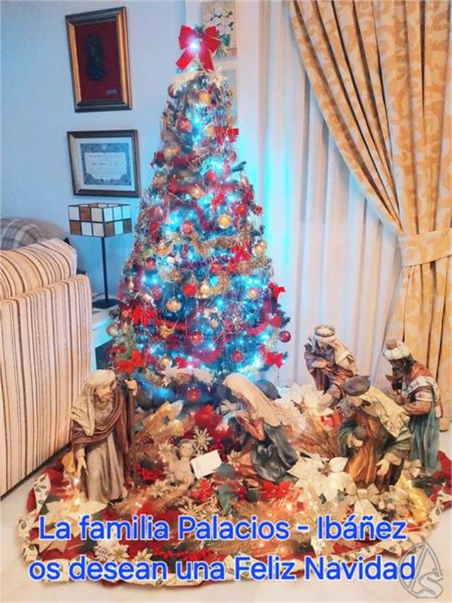 Familia_Palacios_Ibagnez__Copiar_