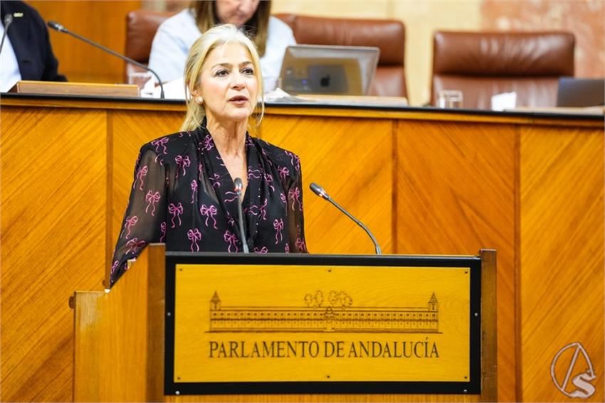 Foto_Del_Pozo_Ayudas_arte_sacro__1___Copiar_