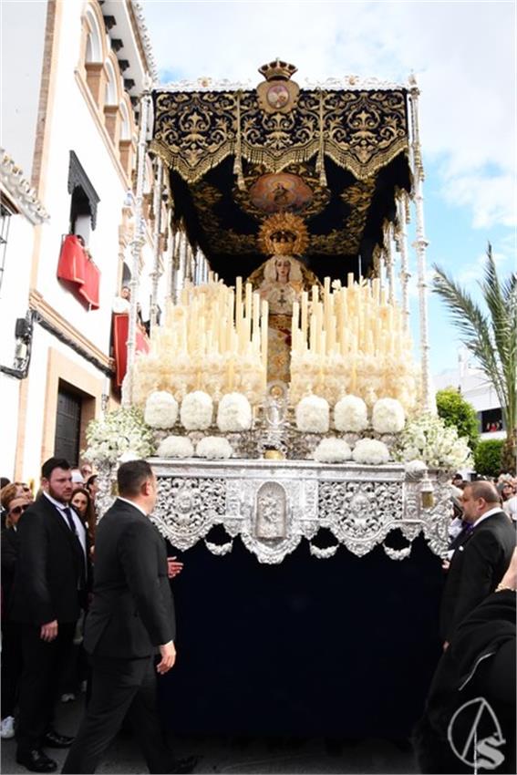 Gran_Poder_y_Soledad._2025._Los_Palacios_y_Villafranca__135___Copiar_.JPG