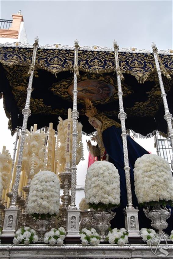 Gran_Poder_y_Soledad._2025._Los_Palacios_y_Villafranca__163___Copiar_.JPG