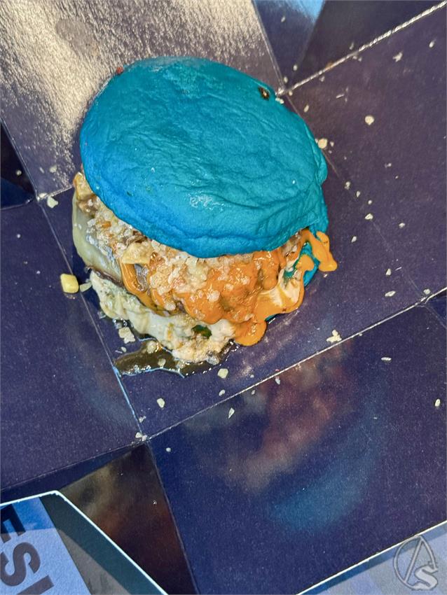 Hamburguesa_Emmy_Peta_Z.__1