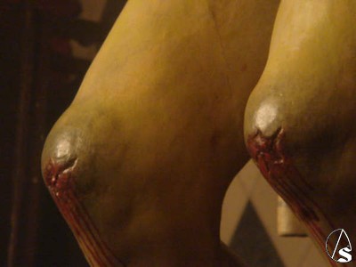 D-talle de las heridas del crucificado 