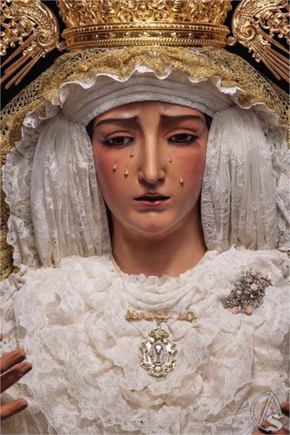Imagen_de_WhatsApp_2024-01-19_a_las_11.18.37_9a652e6e__Copiar_