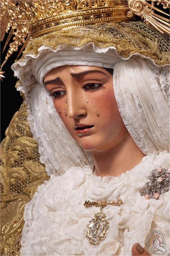 Imagen_de_WhatsApp_2024-01-19_a_las_11.19.06_be626684__Copiar_