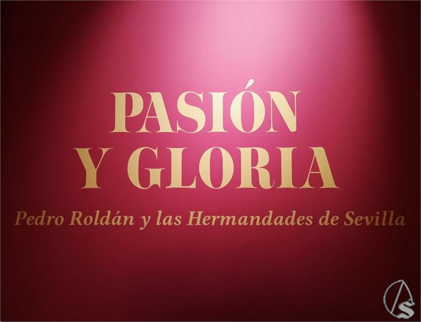 Imagen_de_WhatsApp_2024-11-25_a_las_22.53.58_4735281d__Copiar_