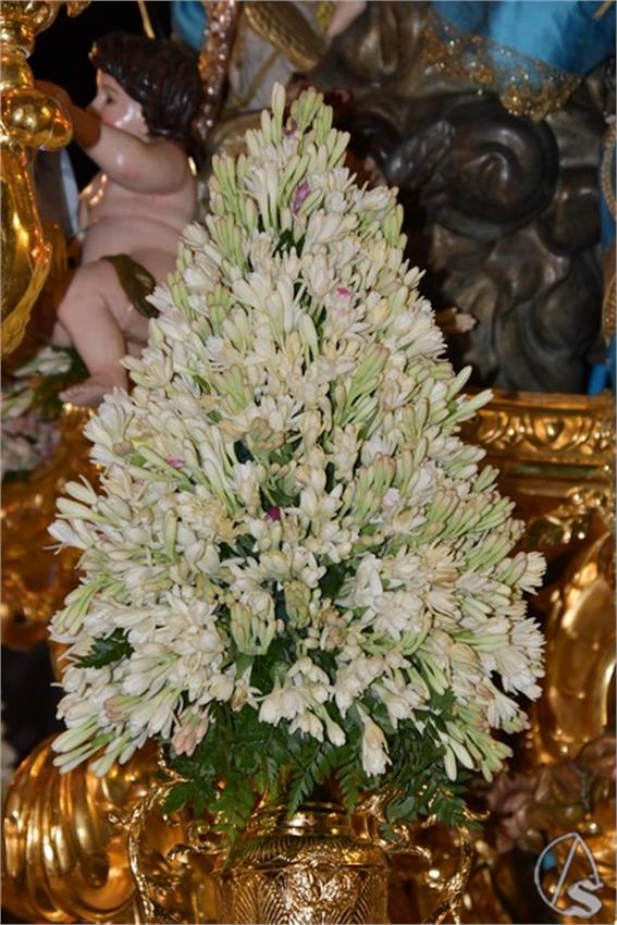 Inmaculada._Castilleja_de_la_Cuesta__27___Copiar__1.JPG
