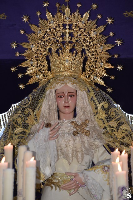 dolores campana pinto
