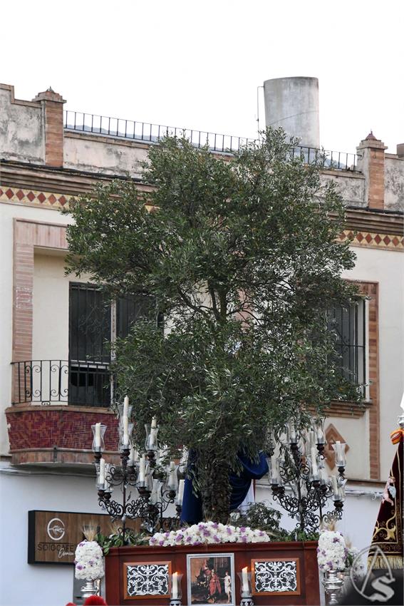Jesus_Resucitado_Castilleja_de_la_Cuesta_Luis_M_Fernandez_250524__30_.JPG