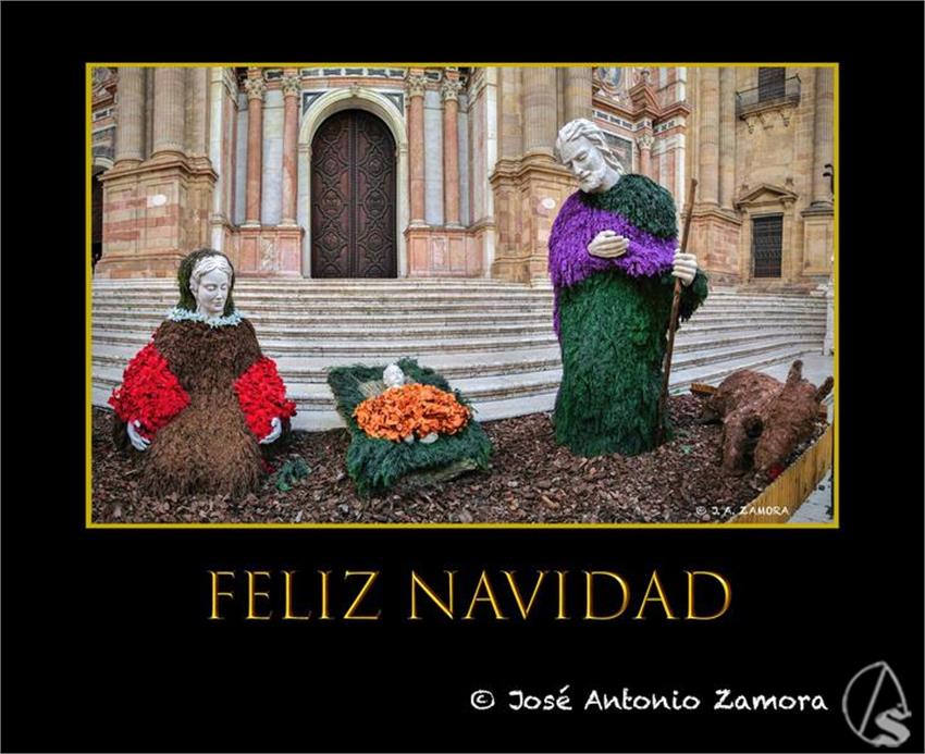 Jose_Antonio_Zamora__Copiar__2