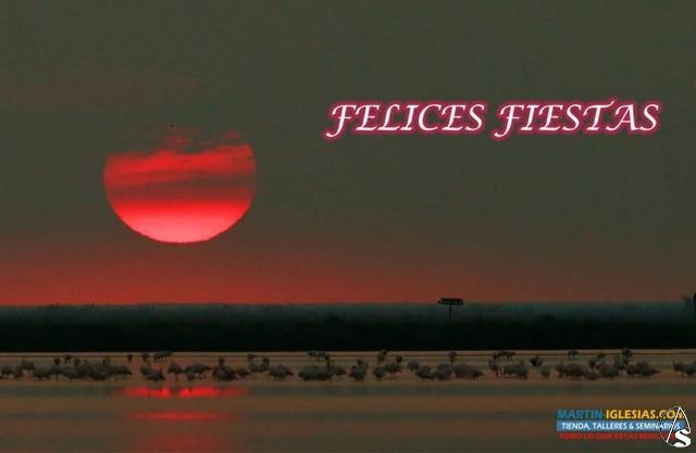 Mart&iacute;n Iglesias fotograf&iacute;a