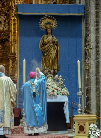 inmaculada catedral