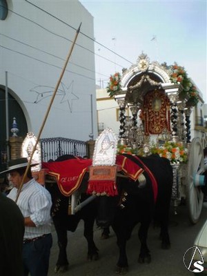 11 de diciembre. Hdad. del Roco de Gelves 