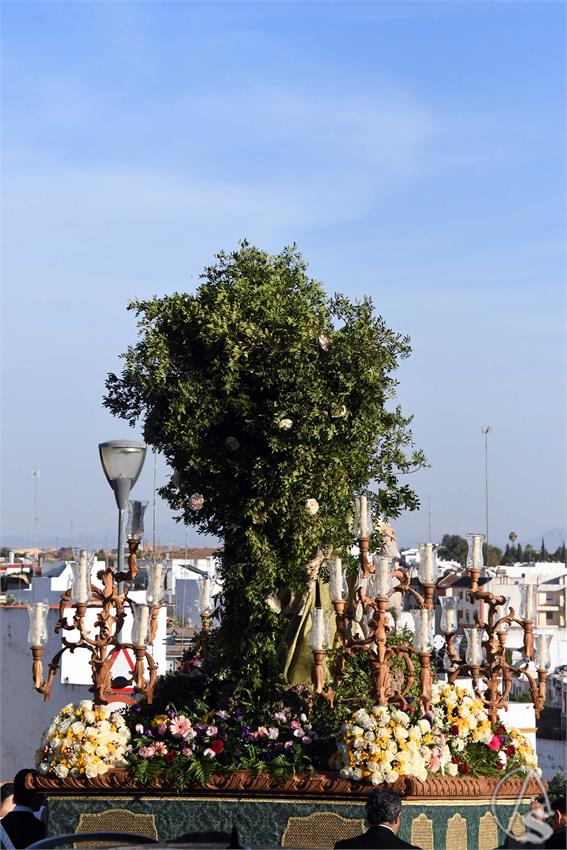 Pastora_Alcala_Guadaira_Luis_M_Fernandez_041025__16_.JPG