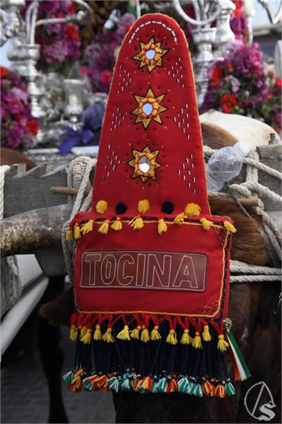 Rocio._2024._Tocina__29___Copiar_.JPG