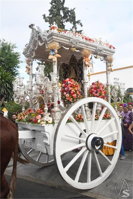 Rocio._2025._Alcala_de_Guadaira__109___Copiar_.JPG