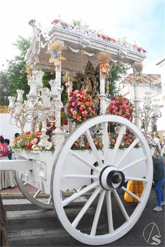 Rocio._2025._Alcala_de_Guadaira__134___Copiar_.JPG