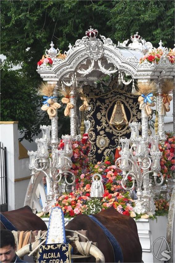 Rocio._2025._Alcala_de_Guadaira__135___Copiar_.JPG