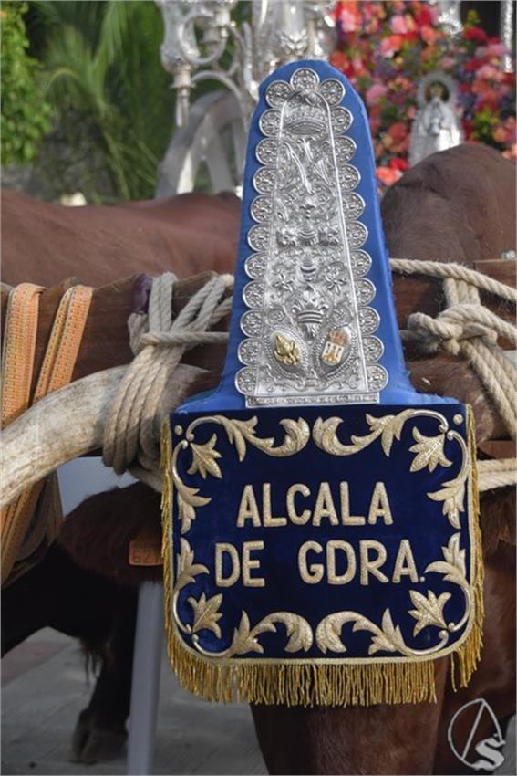 Rocio._2025._Alcala_de_Guadaira__3___Copiar_.JPG