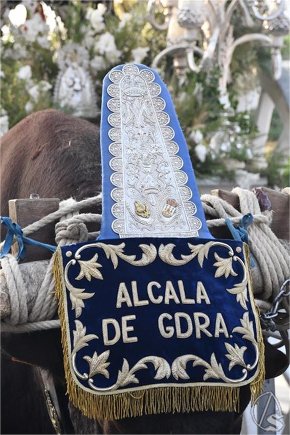 Rocio._2025._Alcala_de_Guadaira__73___Copiar_.JPG