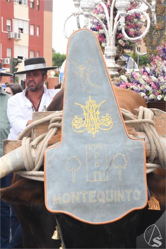 Rocio._2025._Montequinto__38___Copiar_.JPG