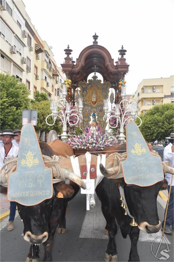 Rocio._2025._Montequinto__56___Copiar_.JPG
