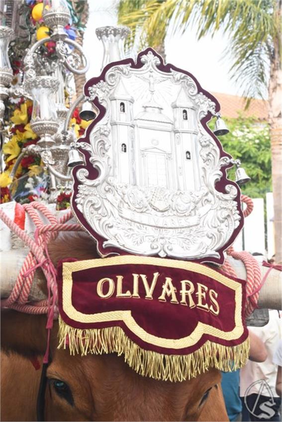 Rocio._2025._Olivares__21___Copiar_.JPG