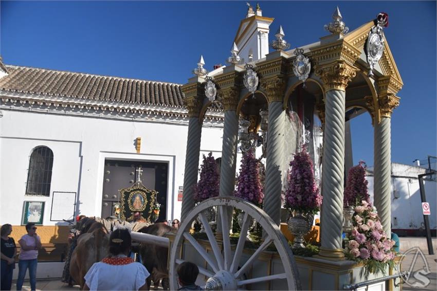 Rocio._2025._Palomares_del_Rio__10___Copiar_.JPG