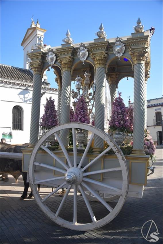 Rocio._2025._Palomares_del_Rio__11___Copiar_.JPG