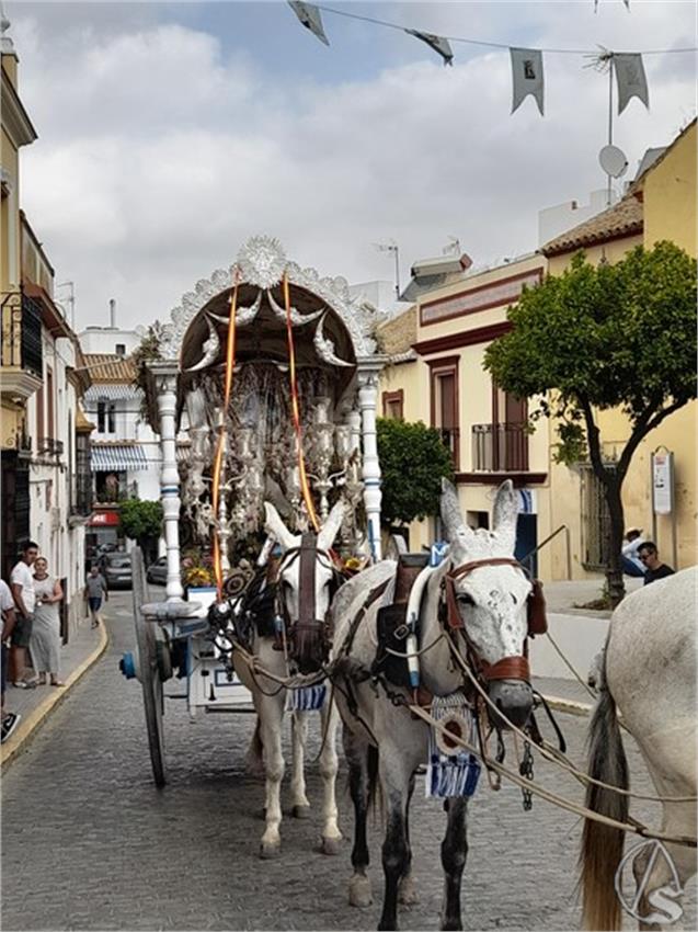 Rocio._2025._Puente_Genil__47___Copiar_