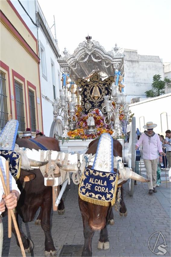 Rocio._2026._Alcala_de_Guadaira_53_Copiar.JPG