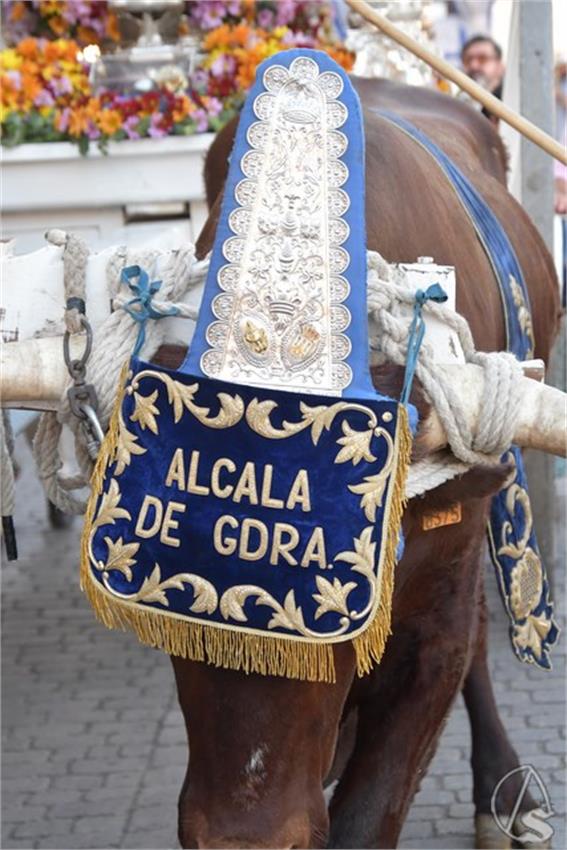 Rocio._2026._Alcala_de_Guadaira_54_Copiar.JPG