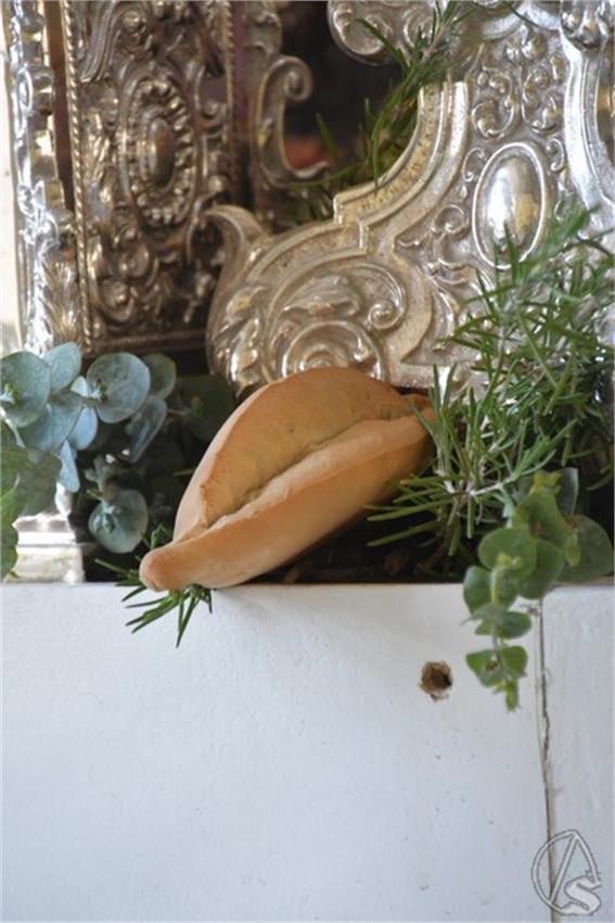 Rocio._2026._Alcala_de_Guadaira_7_Copiar_1.JPG