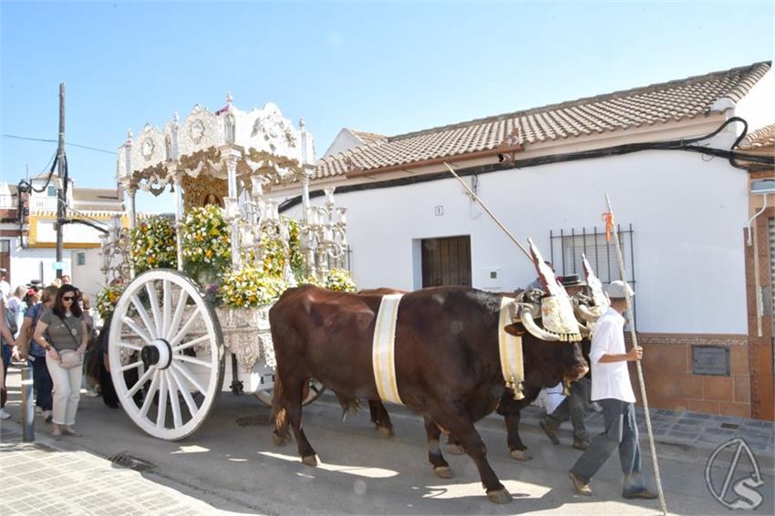 Rocio._2026._Ecija_202_Copiar.JPG