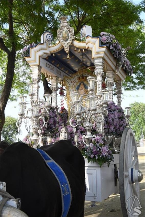 Rocio._2026._El_Viso_del_Alcor_105_Copiar.JPG
