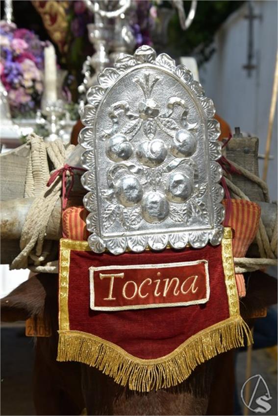 Rocio._2026._Tocina_9_Copiar.JPG