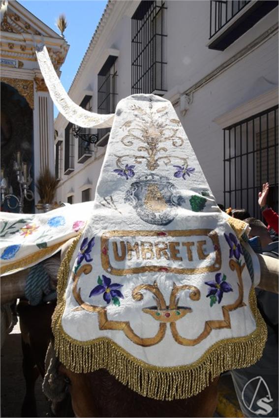 Rocio._Umbrete__104___Copiar_.JPG