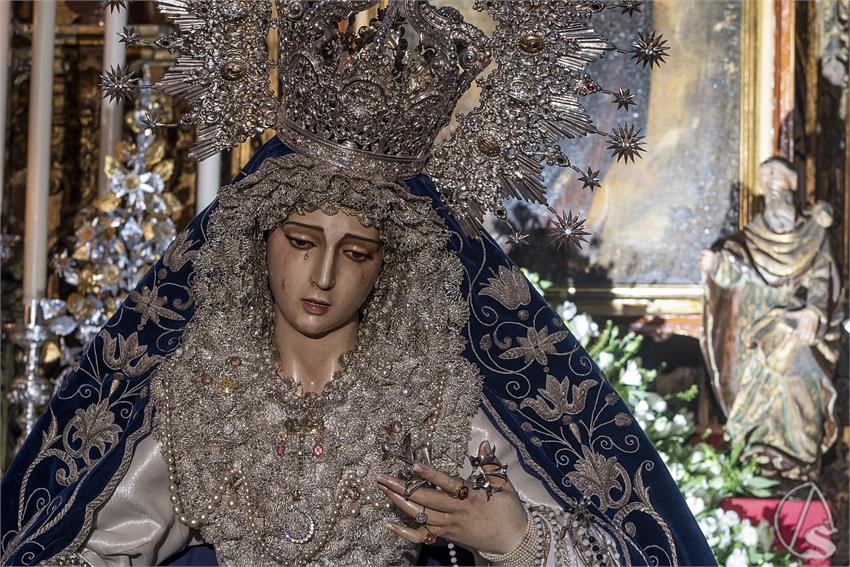 RocioBarcia_MA_PAZ_LOS_ACEITUNEROS_2024__1_