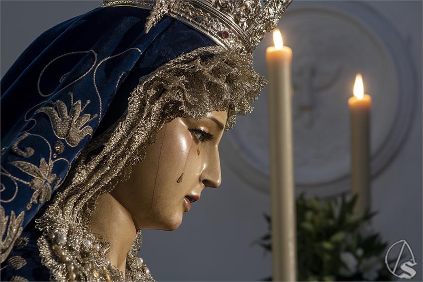RocioBarcia_MA_PAZ_LOS_ACEITUNEROS_2024__4_