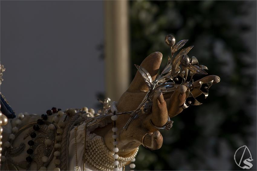 RocioBarcia_MA_PAZ_LOS_ACEITUNEROS_2024__5_