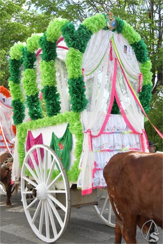 Romeria_San_Isidoro._2026._Santiponce__188___Copiar_.JPG