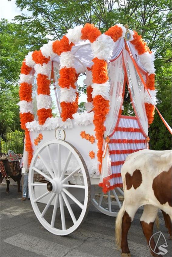 Romeria_San_Isidoro._2026._Santiponce__189___Copiar_.JPG
